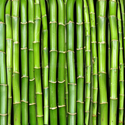 bamboo craft